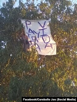 Omar Ortega junto a un cartel que reza "Patria y Vida". (Foto: Facebook/Caraballo Jos)