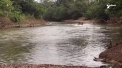 Info Martí | La selva del Darién, cementerio de migrantes
