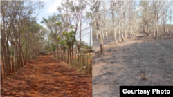 La finca de Andy Amaro antes y después del incendio.