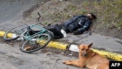 Un perro junto a su dueño asesinado durante la retirada de las tropas rusas de Bucha en 2022. (Sergei SUPINSKY / AFP).