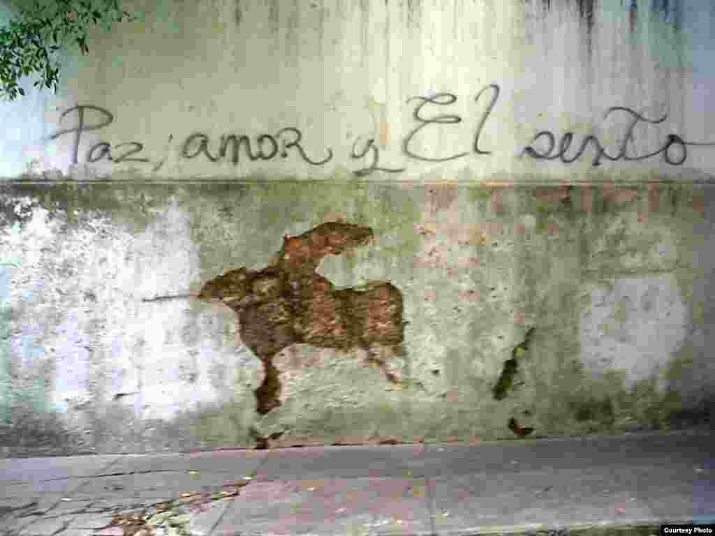 Un grafitis de El Sexto en una pared de la Habana.