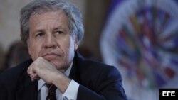 El secretario general de la OEA, Luis Almagro.