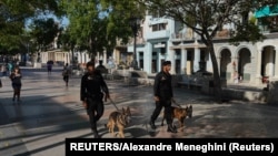 Boinas negras con perros recorren el Paseo del Prado en el primer aniversario del estallido del 11 de julio.