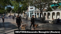 Boinas negras con perros recorren el Paseo del Prado en el primer aniversario del estallido del 11 de julio.