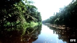 Caño Cayarú, en el Amazonas colombiano.