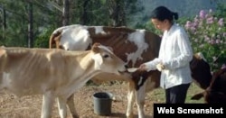 Omara Ruiz Urquiola, en la finca de Viñales donde lleva adelante un proyecto ecológico con su hermano.