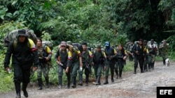 Guerrilleros de las FARC.