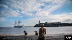 Un cubano en el Malecón observa la llegada de un buque español a la Bahía de La Habana.