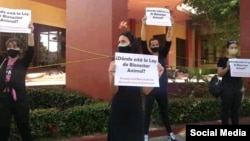 Animalistas protestan frente a sede del Ministerio de Agricultura, en La Habana.