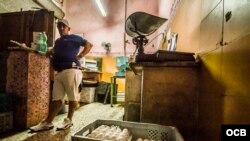 Gobierno vuelve a racionar venta de huevos en Cuba