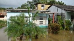 Las cosechas están afectadas en Pinar del Río por las intensas lluvias