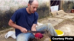 Entre sus proyectos para mejorar los rendimientos agrícolas en el Valle de Viñales, el acosado biólogo cubano Ariel Ruiz Urquiola ha plantado en su finca café con sombra de cacao. 