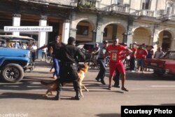 Juliet Michelena fotografió a la policía usando perros contra civiles (Cubanet)