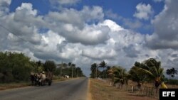 Un campesino viaja en una carreta por una carretera rural de Pinar del Río.