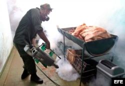 Un soldado participa hoy, lunes 22 de febrero de 2016, en la campaña para luchar contra el mosquito trasmisor del virus del zika, dengue y chikungunya