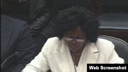 Berta Soler en su comparecencia en el Sub Comité de la Cámara de Representantes de EE.UU. Archivo.