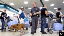 El Aeropuerto Internacional de Miami. (AP Photo/Alan Diaz).