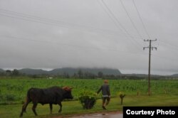 Carretera cerca de Ceiba Mocha.