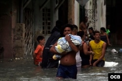 Afectaciones de Irma en La Habana. Foto Elio Delgado.