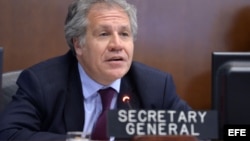 Fotografía del 16 de febrero de 2017, cedida por la Organización de Estados Americanos (OEA), donde se observa al secretario general de la organización, Luis Almagro, durante una intervención en Washington DC (EE.UU.). Almagro informó hoy, miércoles 22 de