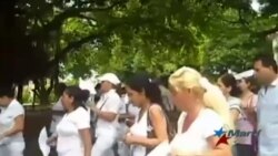 Detienen a 190 activistas por los DDHH este domingo en Cuba