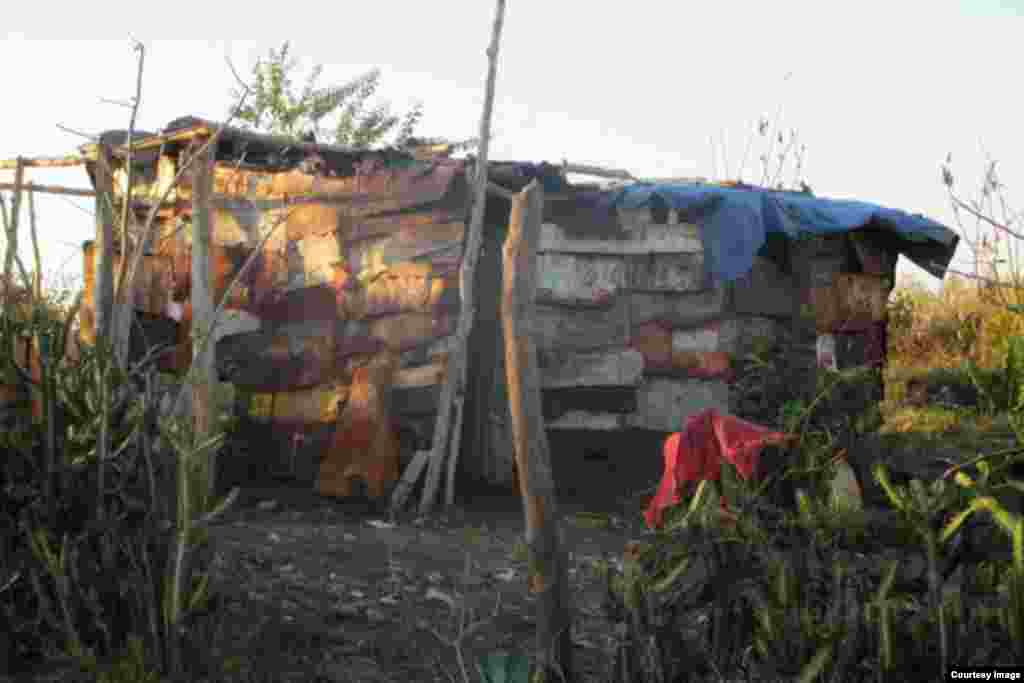 ‘Quimbo’ típico de la localidad de Paso 10, Bayamo (Foto: Marelys Fonseca Viltres)