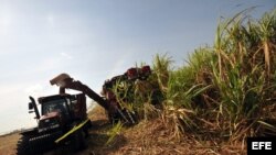 Zafra azucarera en Cuba.