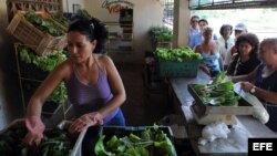 Varias personas compran lechugas en el punto de venta de un huerto urbano en La Habana. (Archivo)