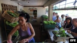 Varias personas compran vegetales en el punto de venta de un huerto urbano en La Habana. Archivo.