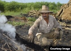 Haciendo hornos para carbon