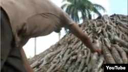 Reporta Cuba. Haciendo carbón en Camagüey.