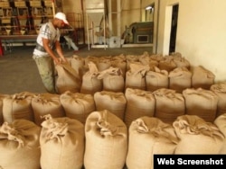 Sacos de café. Planta Procesadora Cumanayagua.