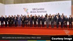 Jefes de delegaciones a la VIII Cumbre de las Américas.