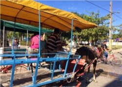 Cocheros. (Foto Cubanet/Fernando Donate Ochoa)