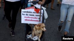 Marcha por los animales en La Habana el 7 de abril de 2019. (Reuters/Fernando Medina).