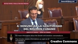 El senador del Partido Conservador de Canadá, Leo Housakos, en una sesión legislativa el 25 de marzo de 2022. 