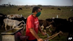 El campesino cubano Alberto Delgado se protege del coronavirus con una mascarilla, en Caimito. AP Photo / Ramon Espinosa