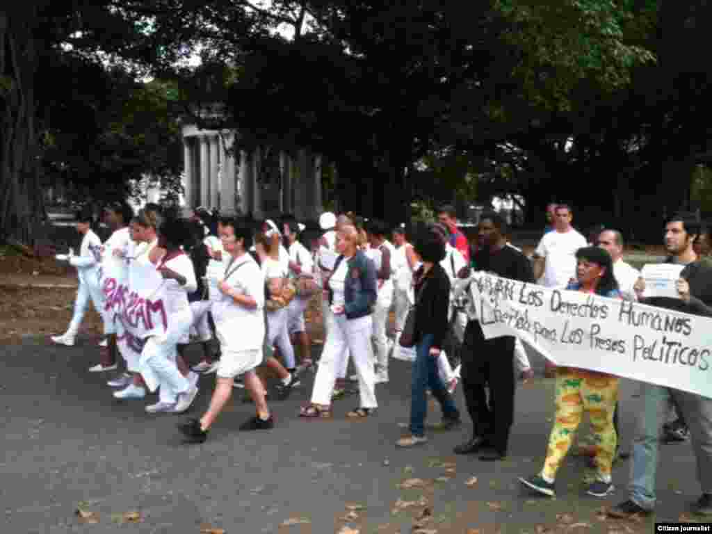 Activistas de DDHH y Damas de Blanco participan en la jornada 44 de #TodosMarchamos.