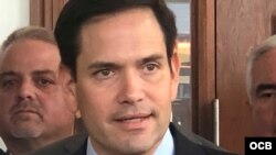 Senador Marco Rubio