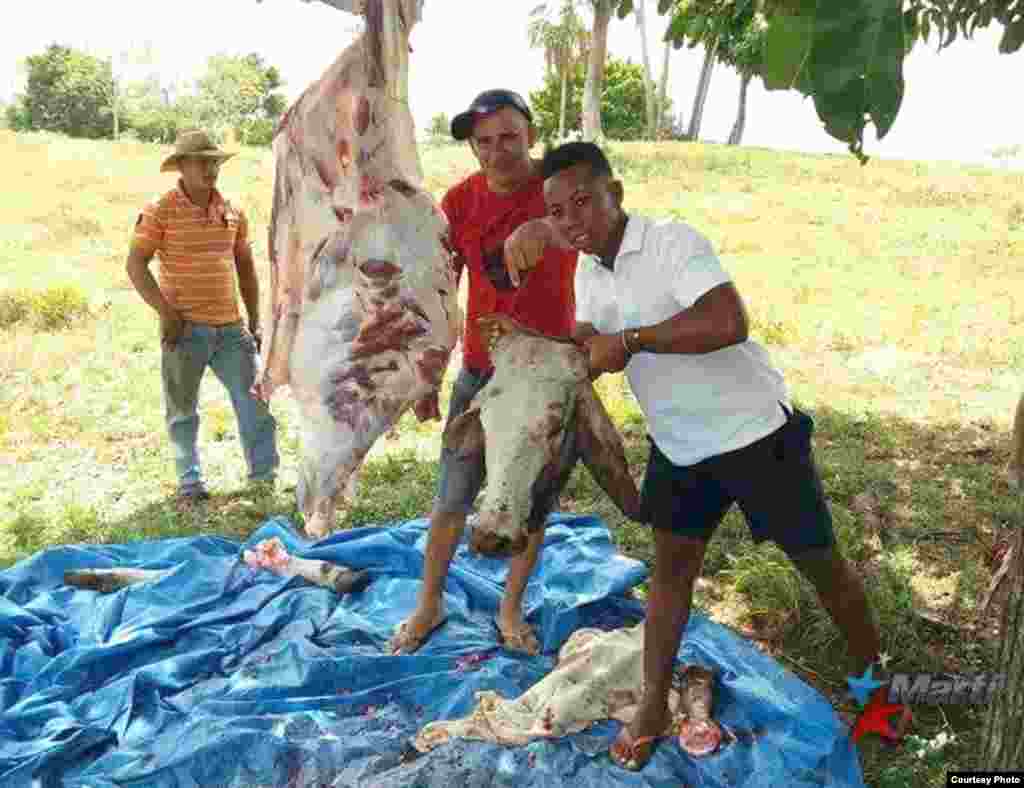 Cubanos en la selva del Darién