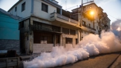 Es muy alto el nivel de infestación de mosquitos en Cuba, mientras que la campaña de fumigación es muy pobre