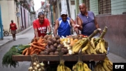 Cuantapropistas cubanos. 