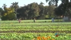 Considera el Congreso de Estados Unidos expandir exportación agrícola a Cuba